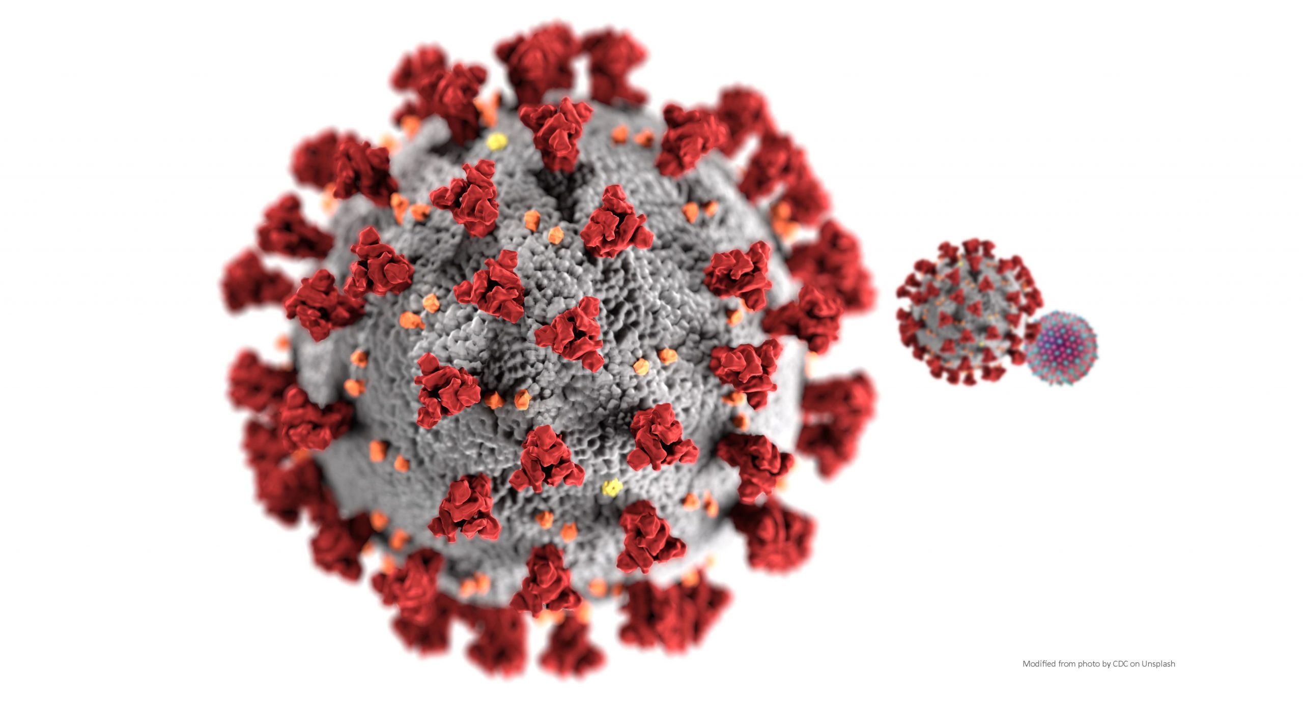 Coronavirus and Hepatitis