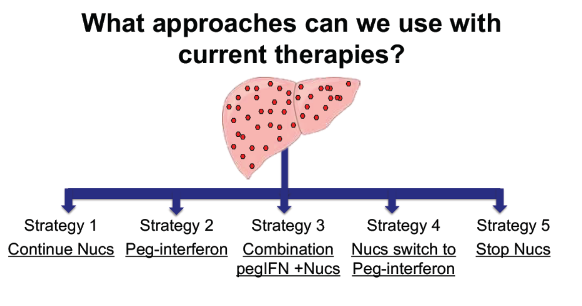 Hepatitis B Treatment—not Necessarily A Life-long Commitment – HepSAY