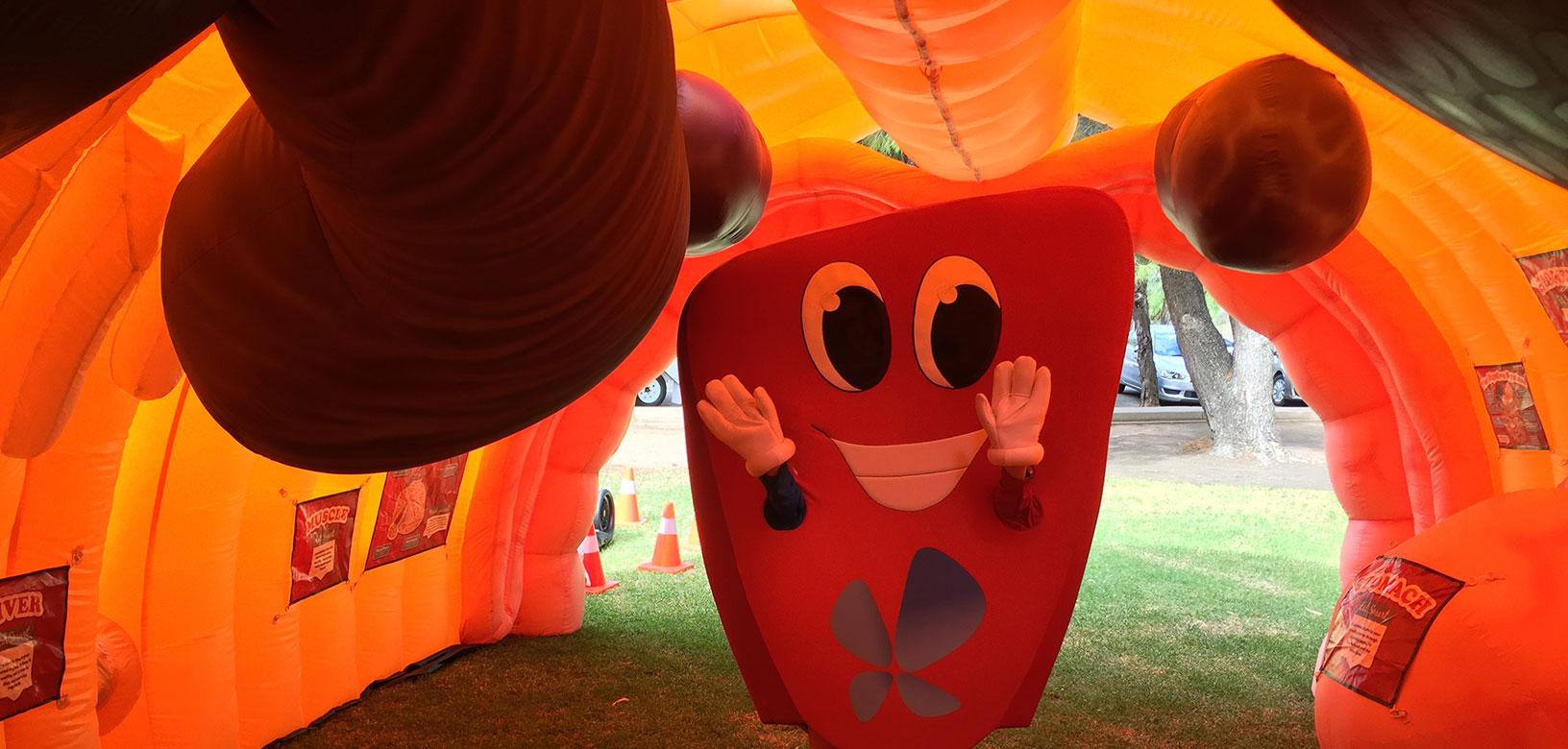 Liver mascot at Tarpari community health information day