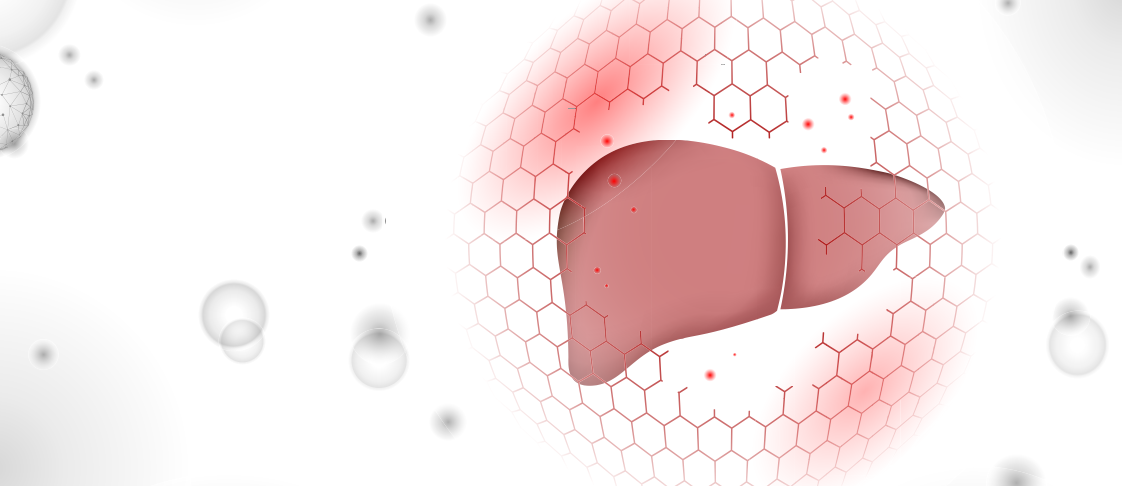 Human Liver against abstract background of biochemical structures